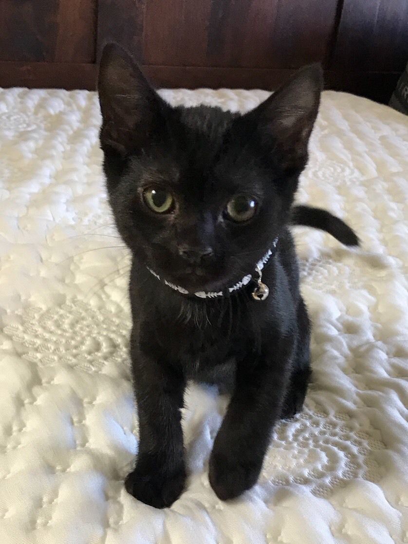 Duncan